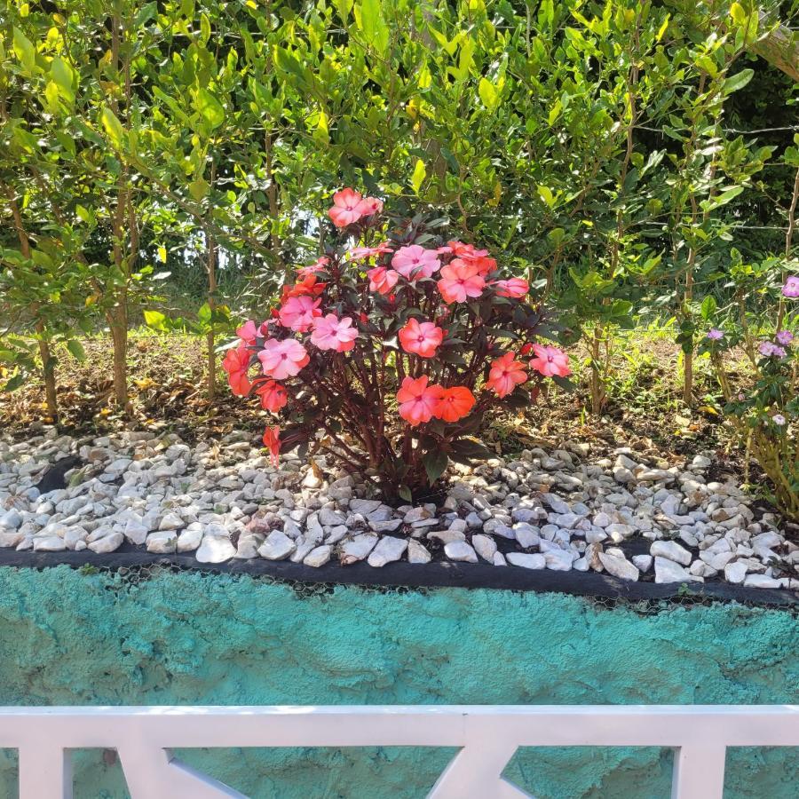 Finca Hotel El Turpial 킴바야 외부 사진